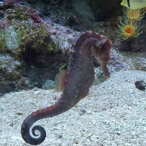 Meet your Posher, Edith